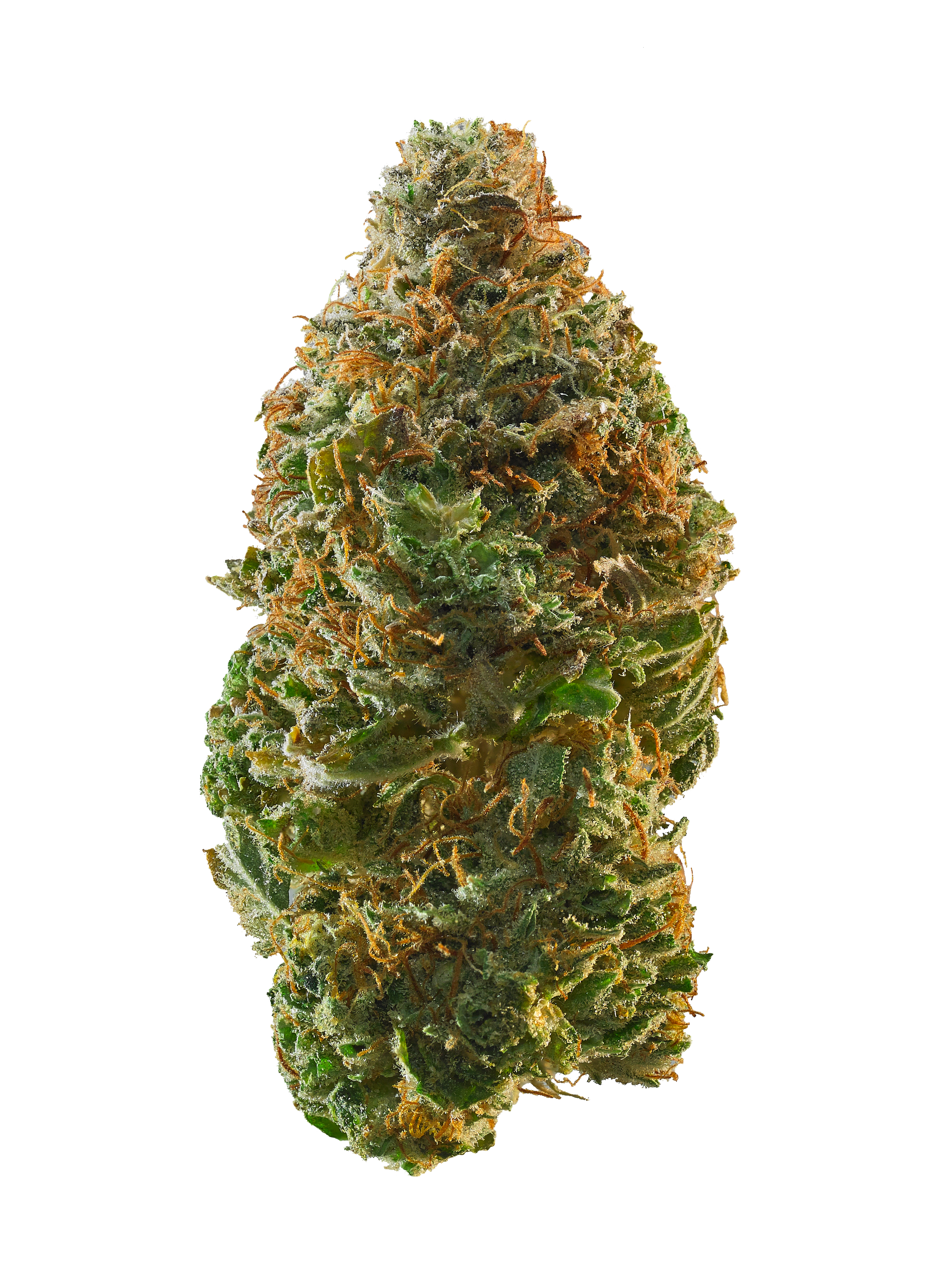 Pina Colada CBD Lilly